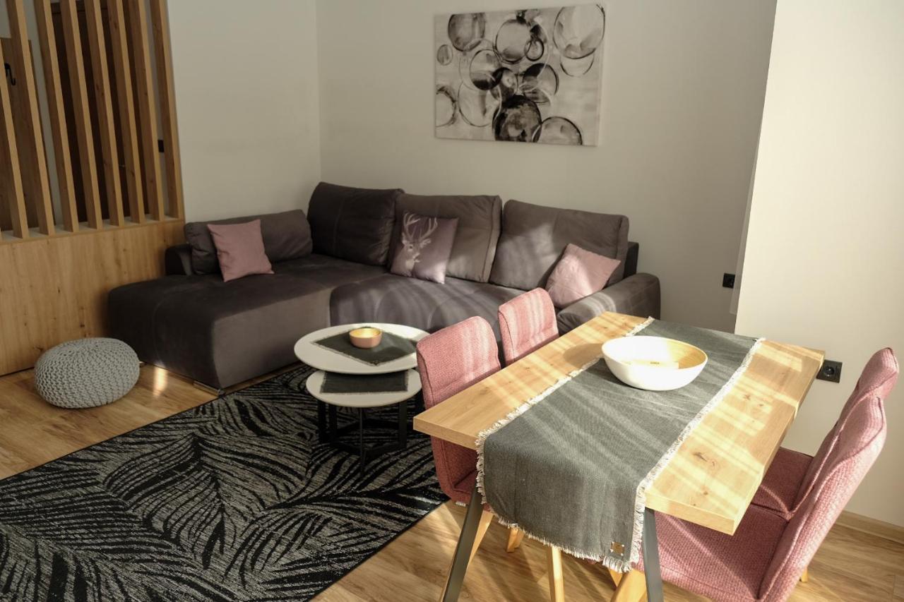 Vila Planinsko Blago 科帕奥尼克 外观 照片